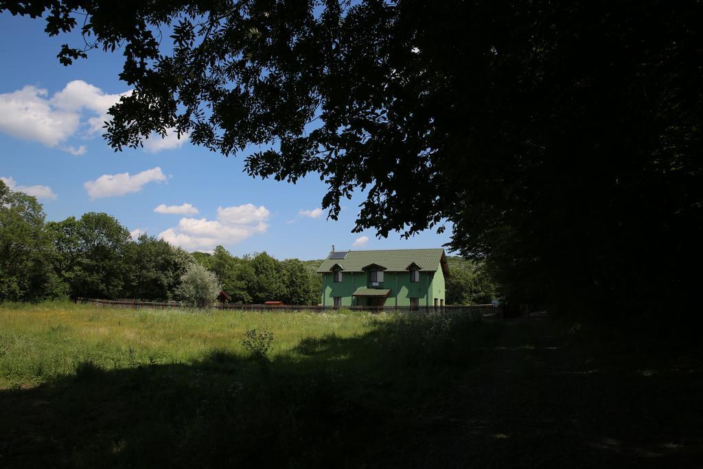 Agropensiunea Cetatuia Luncavita Exterior foto