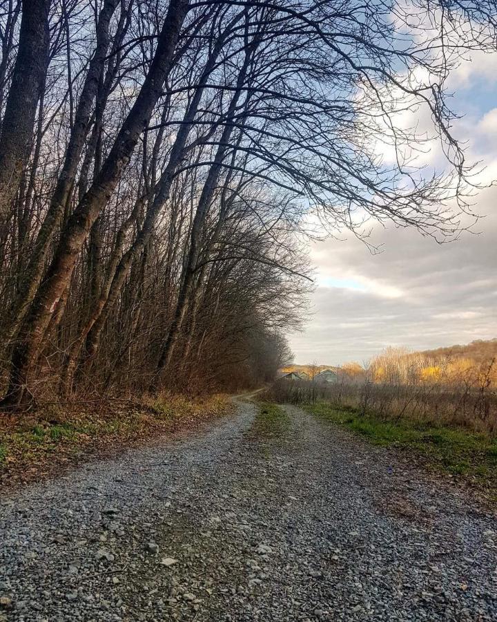 Agropensiunea Cetatuia Luncavita Exterior foto